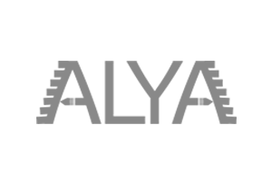 Avada Modern Shop Demo